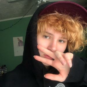 Meet your Posher, Harlie